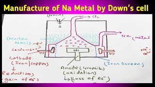 Commercial preparation of Sodium by Downs cell  class 12 [upl. by Ahsieket543]