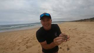 Pambula Beach Worming [upl. by Mozart]