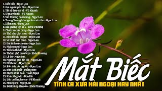 MẮT BIẾC GỌI NGƯỜI YÊU DẦU  Nhạc Tình Ca Xưa Hải Ngoại Nhẹ Nhàng Chất Chứa Đầy Tâm Trạng [upl. by Eednarb]