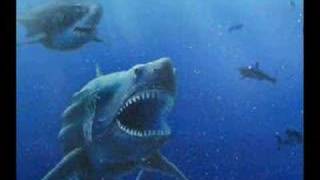 megalodon the largest shark ever [upl. by Branen]