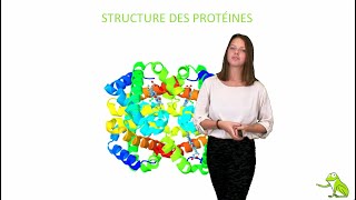 Structure des protéines [upl. by Ongun930]