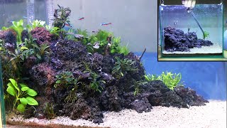 Setting 30cm Aquascape Tank  Easy Low Maintenance Low Budget No CO2 Injection [upl. by Inavoj]