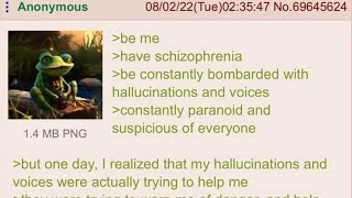 Anon Is Schizophrenic  4Chan Greentext Stories [upl. by Eiahpets618]