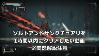 【実況解説】ソルトアンドサンクチュアリを1時間以内にクリアしたい動画 04306IGT【RTAAny】 [upl. by Mabelle]