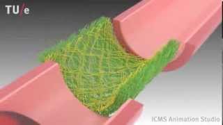 Instructive Supramolecular Scaffolds for In Situ Cardiovascular Tissue Engineering [upl. by Ulrikaumeko]