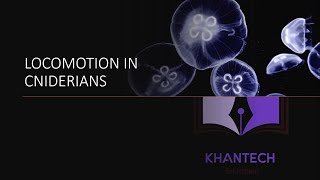 Biology  Phylum Cnidaria  Locomotion in Cnidarians [upl. by Alethia609]