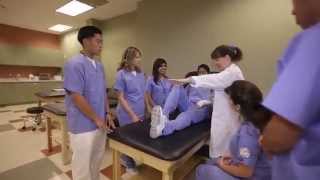 Learn About Our Physical Therapist Assistant Program  Concorde Career College [upl. by Corel]