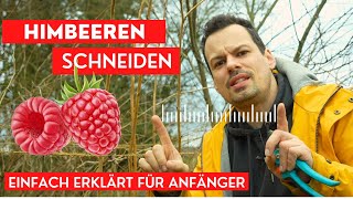 Himbeeren schneiden schnell amp einfach erklärt für Anfänger [upl. by Nikoletta]