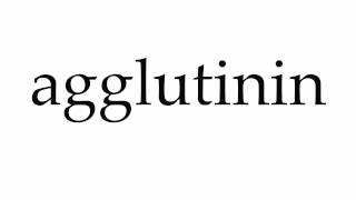 How to Pronounce agglutinin [upl. by Markman]