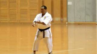 Tenchi no Kata at 5th Uchinanchu Karate and Kobudo Exchange [upl. by Savior424]