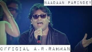 Rockstar  Naadaan Parindey  Official ARRahman HD [upl. by Nirej]