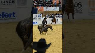 QHN wishes all of the Open riders the best of luck today in the NCHA Futurity Open Finals qhn [upl. by Dixon]