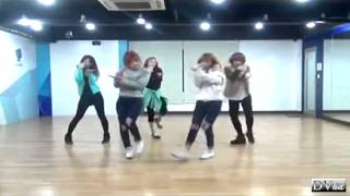 4Minute  Whats Your Name dance practice DVhd [upl. by Nadaba]