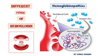 Different types of Hemoglobin  Hemoglobinopathies [upl. by Katzman953]