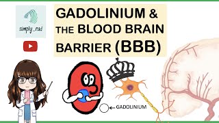 Gadolinium and the Blood Brain Barrier MRI [upl. by Perr]