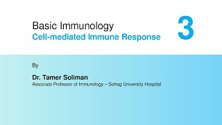 Basic Immunology  Cellmediated Immune Response Part 3 [upl. by Ronda]