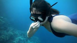 Apnea Freediving Intro Class [upl. by Clevie]