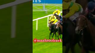 Horse Life risky life 🐎horseracing horespower shortsvideo horsejockey mashroolzack6745 [upl. by Arimay]