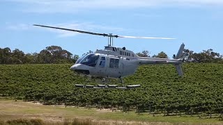 Corsaire Aviation  VHLWU Bell 206B JetRanger Landing at Aravina Estate [upl. by Mathe359]