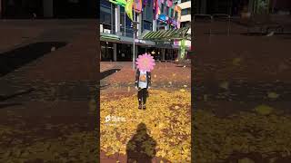 Part 2 Slow Motion Leaves Falling [upl. by Eseer]