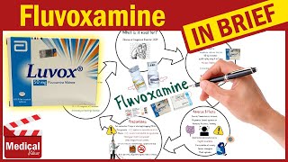 Fluvoxamine Luvox What Is Fluvoxamine Used For Uses Dosage and Side Effects of Fluvoxamine [upl. by Meeharb]