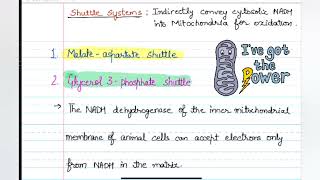 Shuttle Systems Malate Aspartate shuttle and Glycerol 3phosphate shuttle neetpgpreparation [upl. by Glennon]