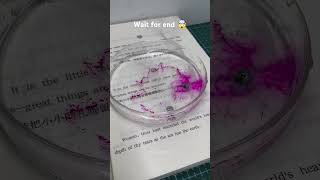 Potassium in water experiment 🤯 shorts viral experiment [upl. by Anniala]