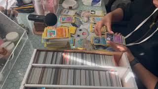 ASMR Organizing Pokemon Cards no talking [upl. by Ahsatel327]