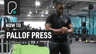 How To Do A Pallof Press [upl. by Krahling381]