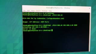 CVE20146321 MS14066 Crash PoC by CodeAndSec RDP [upl. by Rex423]