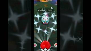 Catching a Shiny Costume Rowlet in Pokémon GO pokemon pokemongo shinypokemon [upl. by Orodisi]