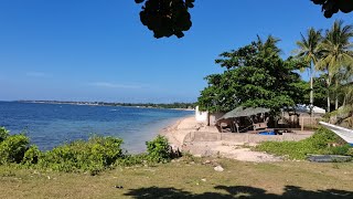 half Hectares Beachlot for sale in Daan Bantayan Cebu Philippines [upl. by Atsed]