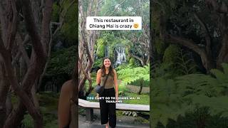 Must visit Thai restaurant in Chiang Mai 🤩 thaifood thailand travelvlog [upl. by Greene]