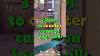 Ways To Counter Common Sage Walls [upl. by Attaynek]