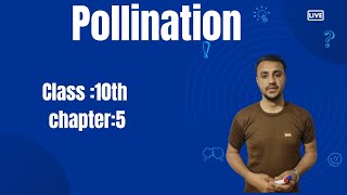 Pollination in urdu Hindi  class 10th  chapter 5 [upl. by Antonietta898]