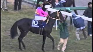 1999 有馬記念 本馬場入場 [upl. by Favrot]