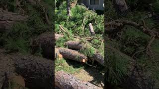 Clearing the Roads after Hurricane Helene [upl. by Oinotnaesoj]