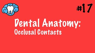 Dental Anatomy  Occlusal Contacts  INBDE [upl. by Tavis]