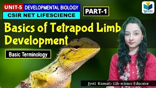 BASICS OF TETRAPOD LIMB DEVELOPMENT CSIR NET DEVELOPMENTAL BIOLOGY [upl. by Aileek]