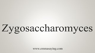 How To Say Zygosaccharomyces [upl. by Gustafsson]