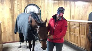 The Madden Method  fitting a bridle [upl. by Shalom]