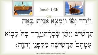 Jonah 13b [upl. by Kus]