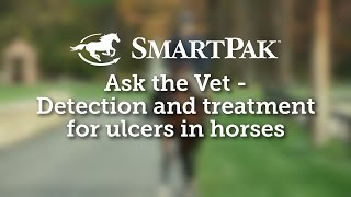 Ask the Vet  Detection and treatment for ulcers in horses [upl. by Abe323]