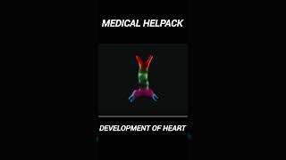 development of heart [upl. by Teak]