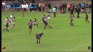 Grey College 1st VS Selborne College 1st 2024 Highlights [upl. by Lednew]