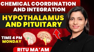 Hypothalamus and Pituitary  Chemical Coordination and Integration Detailed class  Ritu Rattewal [upl. by Stultz]