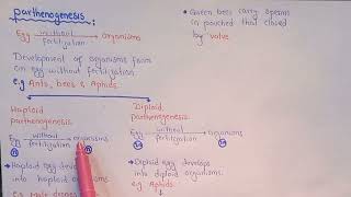 Parthenogenesis  Haploid And Diploid Parthenogenesis  Class 12 [upl. by Lramaj264]