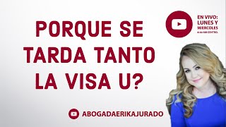 ¿POR QUE SE TARDA LA VISA U ¿Es normal  Inmigración con la Abogada Erika Jurado Graham [upl. by Harhay]