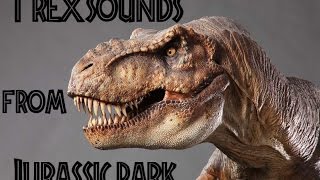 Scientifically Accurate Speculative Tyrannosaurus Rex Sound Design Test [upl. by Llednek]