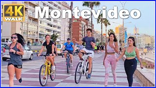 【4K】WALK Sunset  MONTEVIDEO Uruguay 4K video UY Travel vlog [upl. by Atikihc]